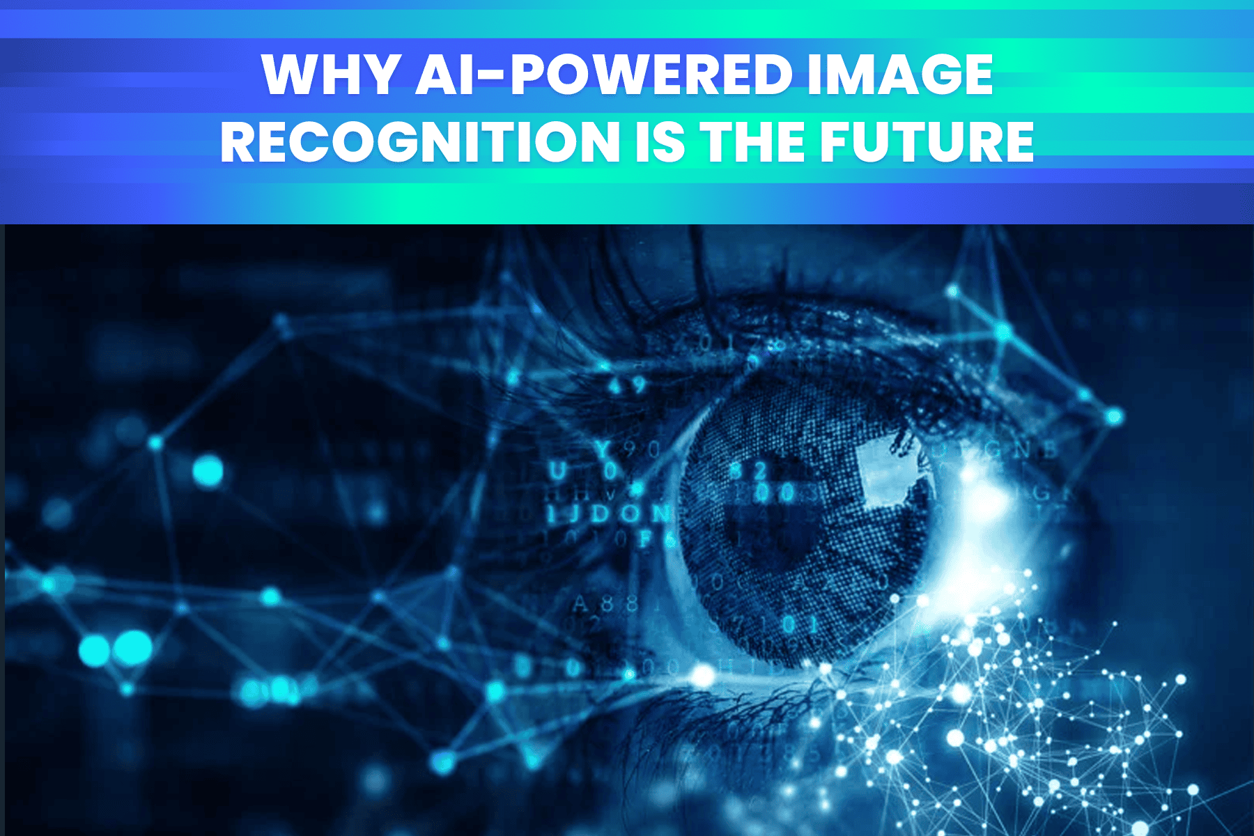The Rise Of Visual Search Why AI-Powered Image Recognition Is The Future.png